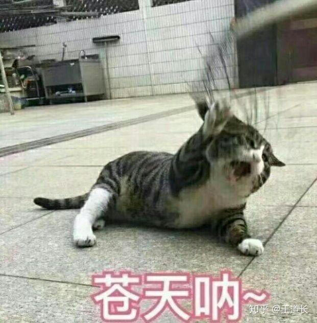 王者荣耀星耀局怎么打?