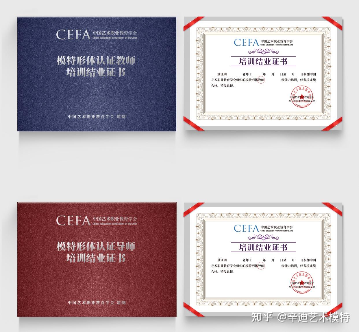 沈阳少儿模特师资培训辛迪mcfa少儿模特形体认证初级开班通知