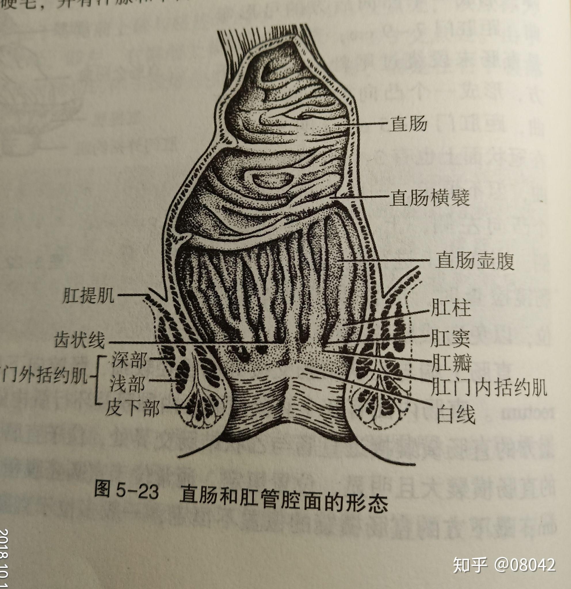 哪些知识是在你学医之后才知道的?