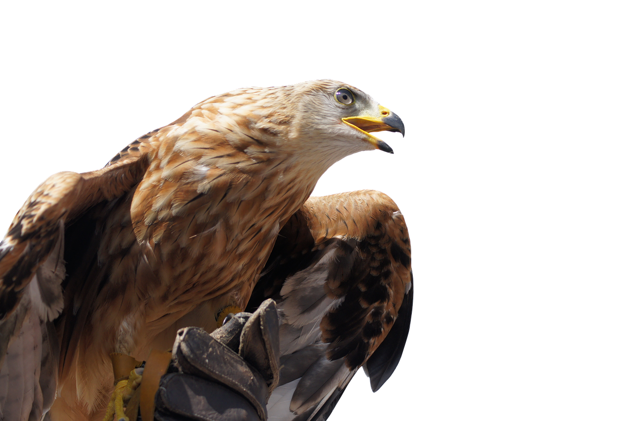 南京金鹰开业什么活动