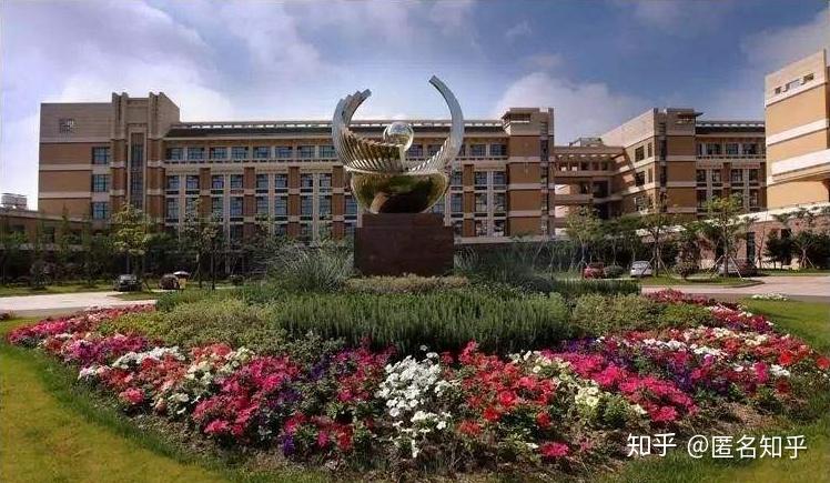 关于奉贤大学城备考插班生的选择