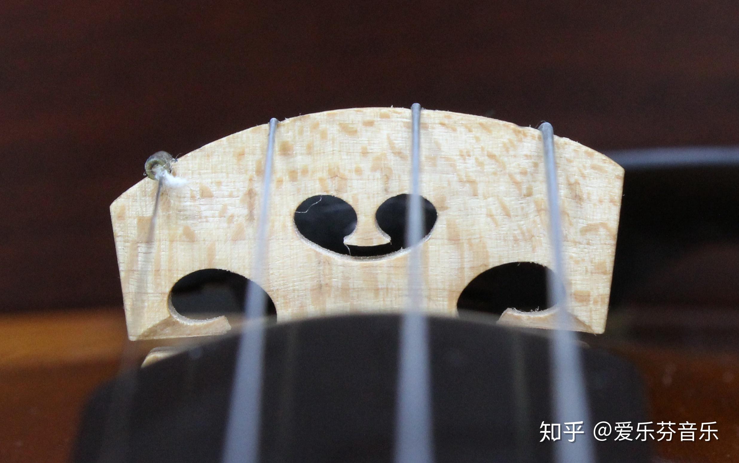 你真的了解小提琴琴桥吗? - 知乎