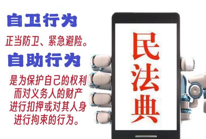 今日释法激情下慎用私力救济浅评蒜苗被压大妈怒砸奔驰事件