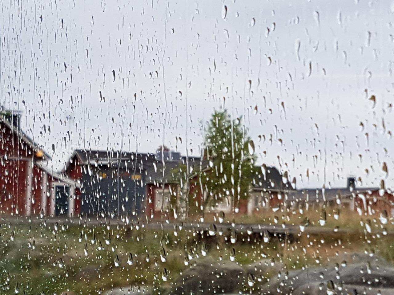 春雨绵绵润万物