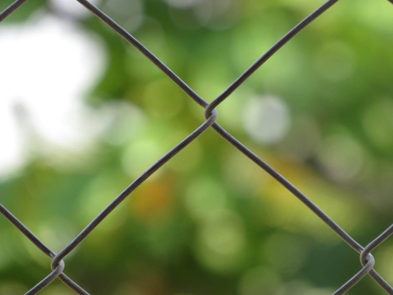 3. 土壤厚度标准