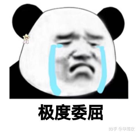 我的大表情包 v2-11dbf79d3b4c8182bc1bdc12468e9724_r.jpg