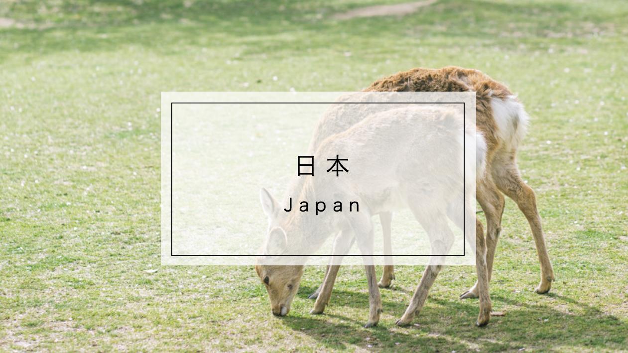 京都祇园祭 大阪花火大会 奈良喂小鹿 夏日的关西可以这样玩 知乎