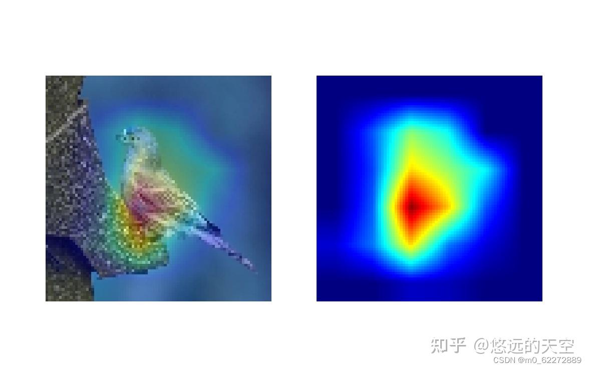 双分支的Grad_CAM实现 - 知乎