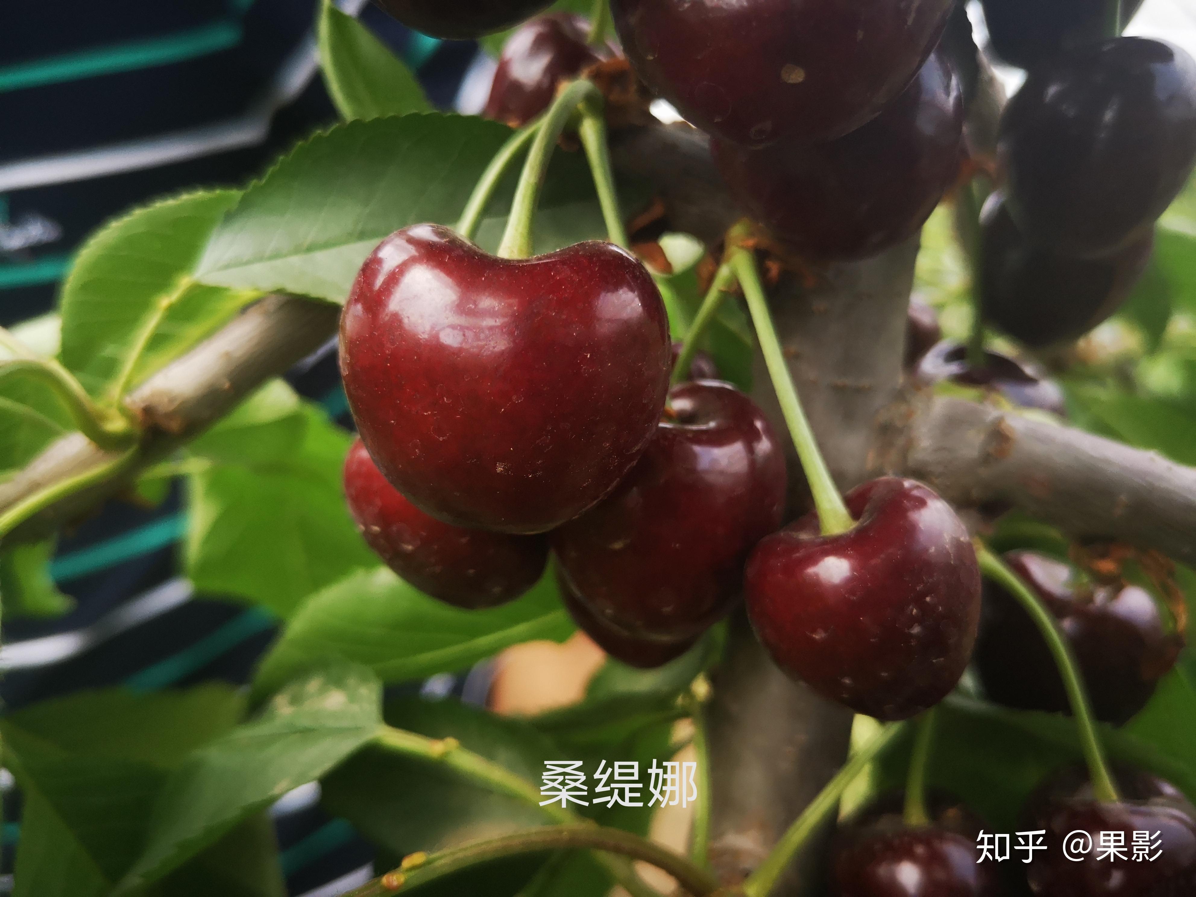 v2-120c3e7c60404c6ac4eee1887dc0a8c8_r.jpg