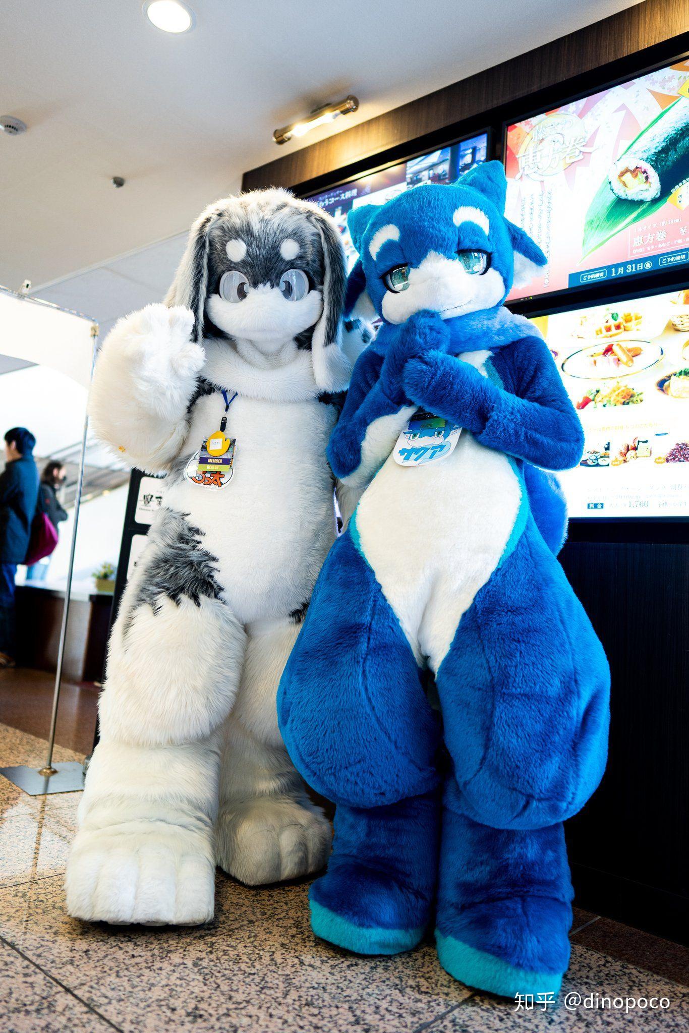 求一些可爱的兔子兽装图片? - 知乎