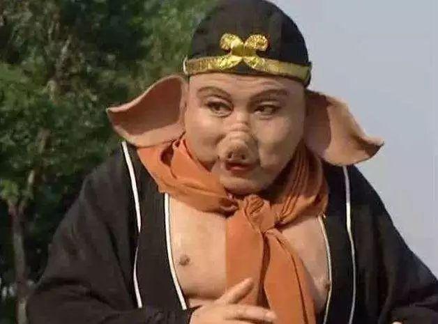 猪八戒的法号为什么叫悟能 知乎 猪八戒的法号为什么叫悟能 知乎