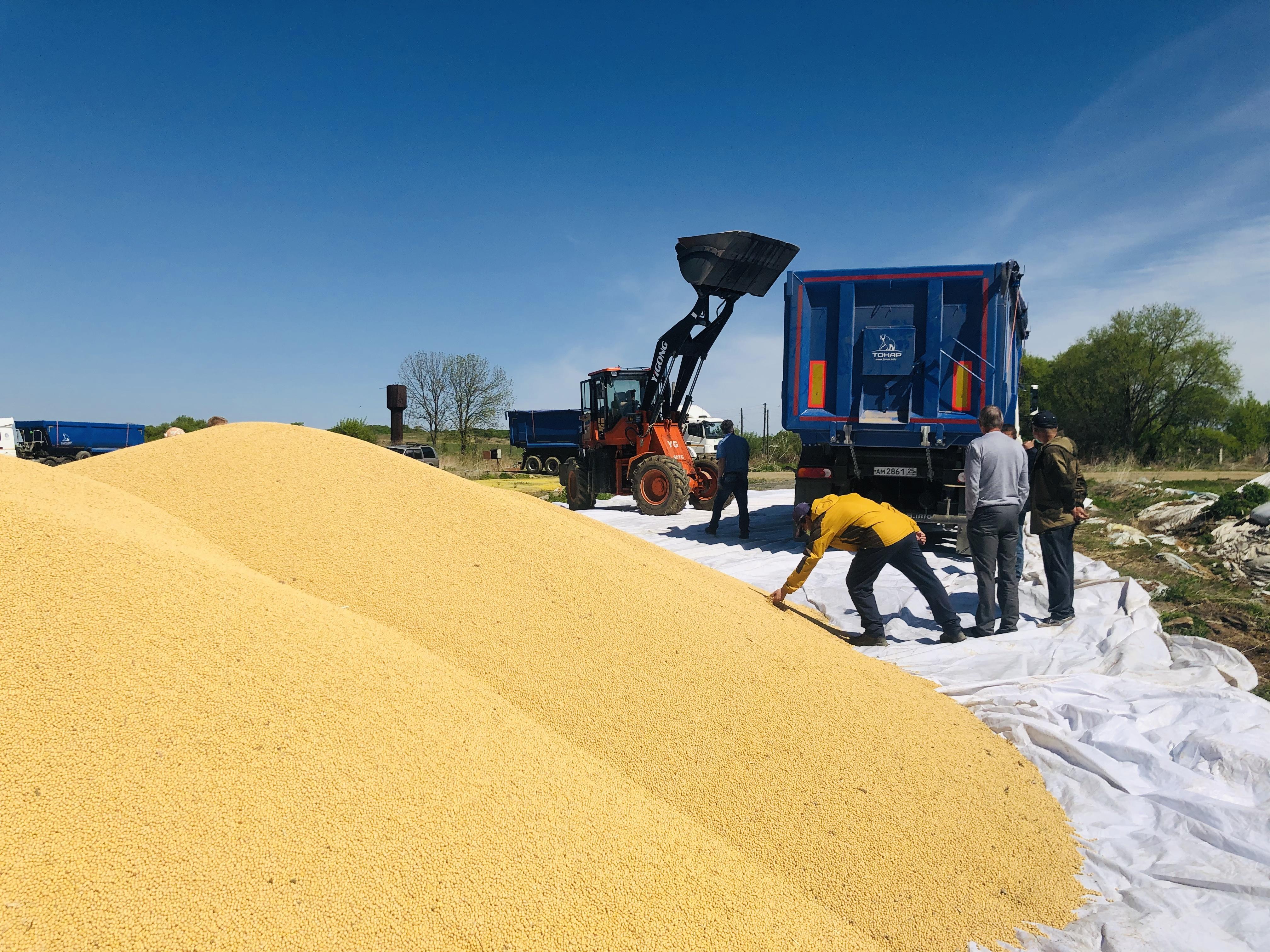 职责注定坚守忘我选择逆行佳北农业俄罗斯农场冒雪秋收