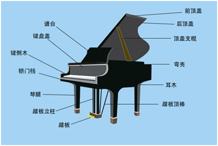 钢琴种类介绍及图片图片