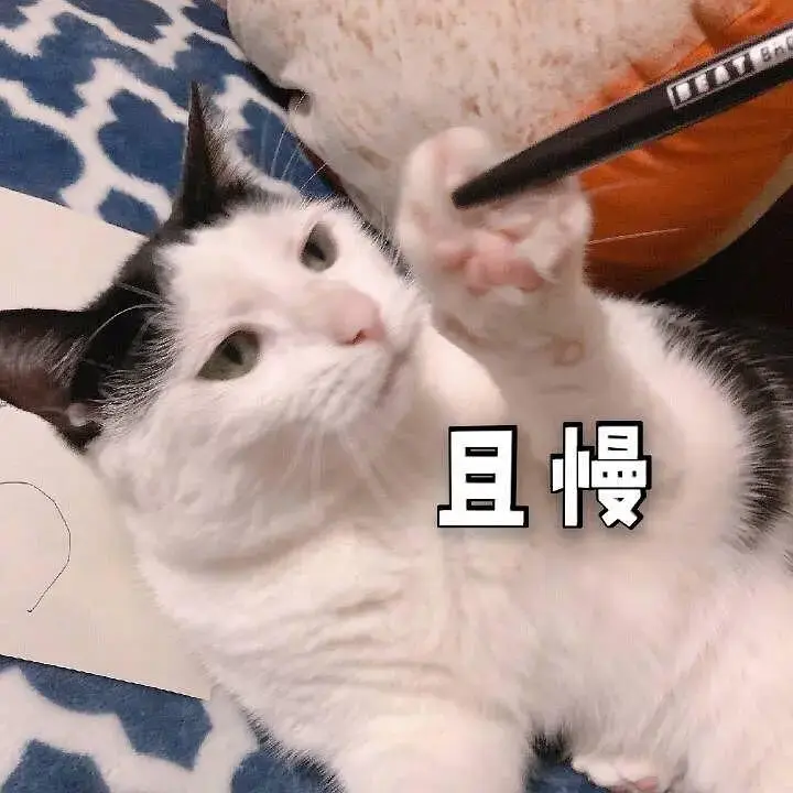 请问有没有超级萌的猫咪表情包? - 知乎