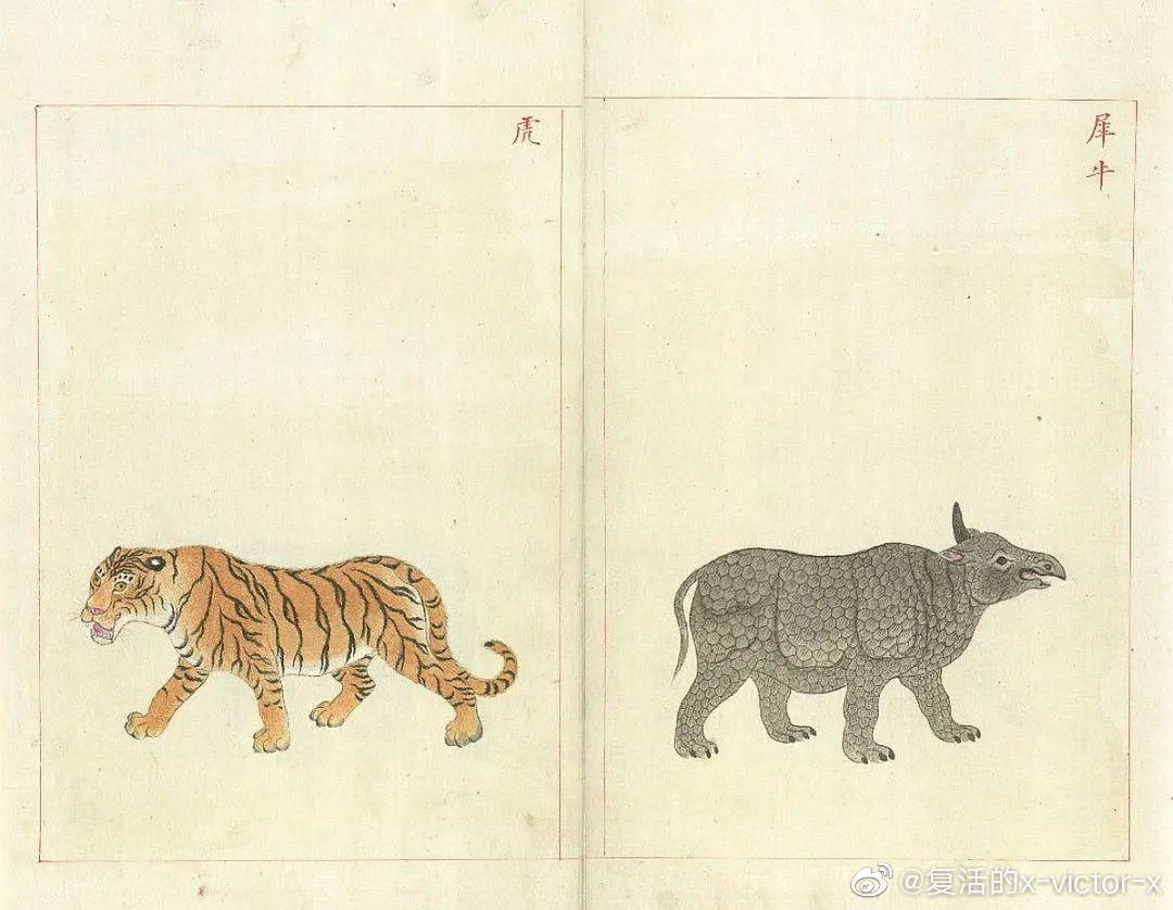 为什么浮世绘上的老虎长的和妖怪一样? - 知乎