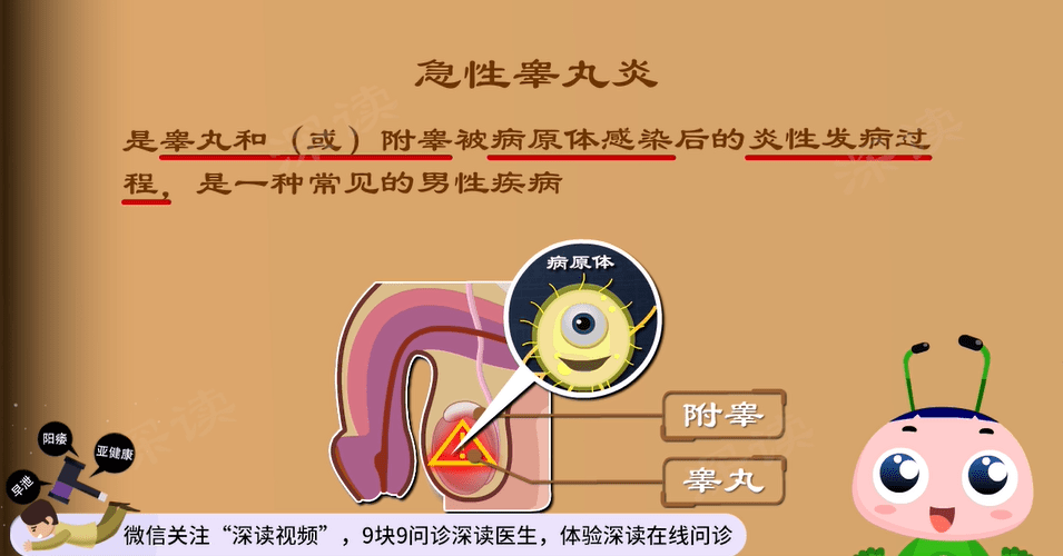 阴囊发炎的症状图片图片