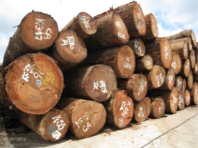 弼荼红木国标二十九种红木产量稀少的亚马逊黄檀