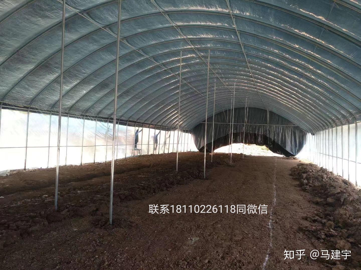 U8国际- U8国际官方网站- U8体育APP下载养殖大棚多少钱一个平方(大棚养猪可行吗)