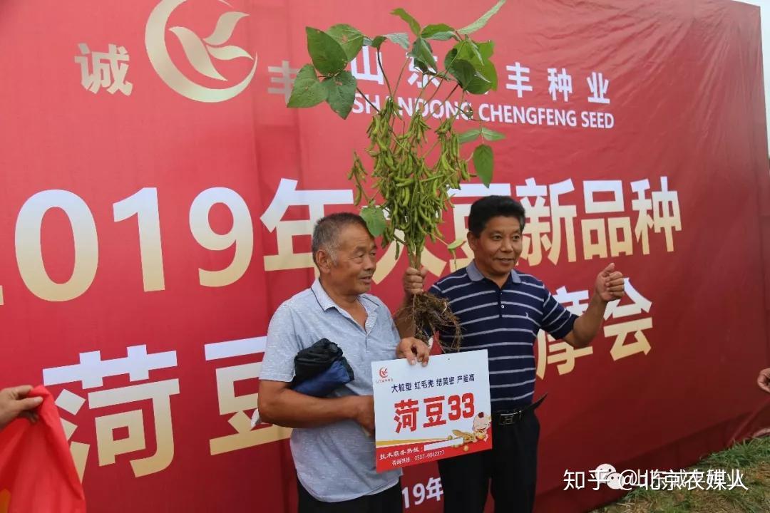 菏豆33号助力中国大豆振兴