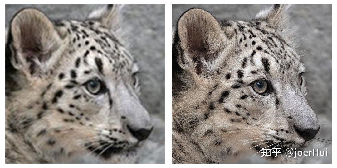 SD考古：扩散模型本体变体对比 -- diffusion model, stable diffusion model v1 & v2(8)