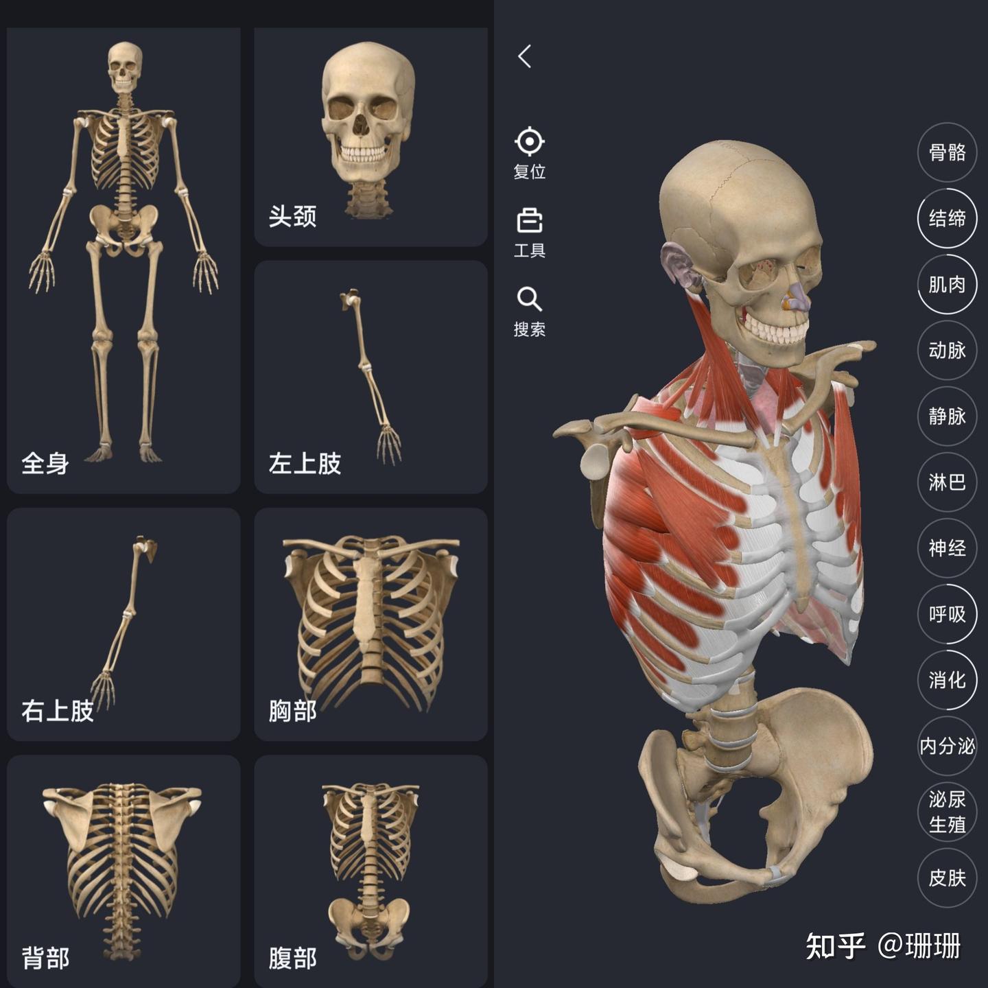 有什么好用的解剖软件？ - 知乎