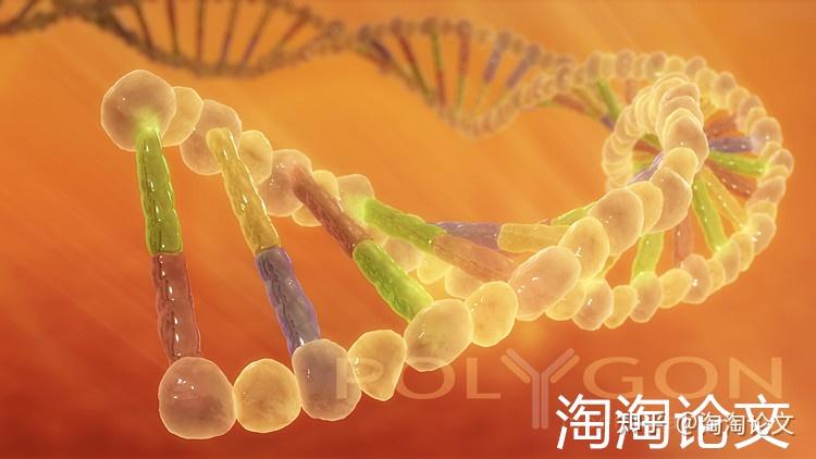 支付宝SCI提升指南 (支付宝官网)-初仟社区