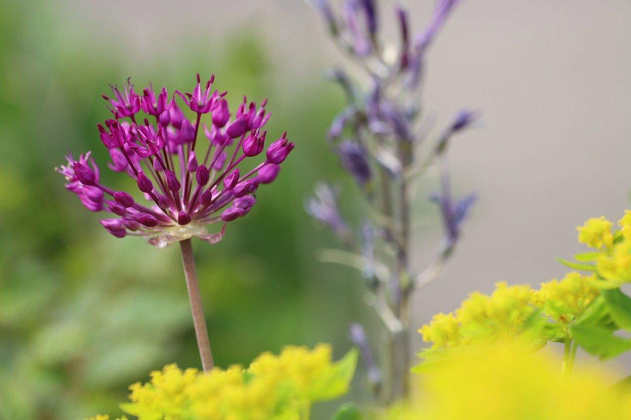 3. 交通配套解析