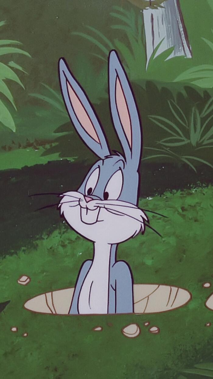 有没有兔八哥的壁纸