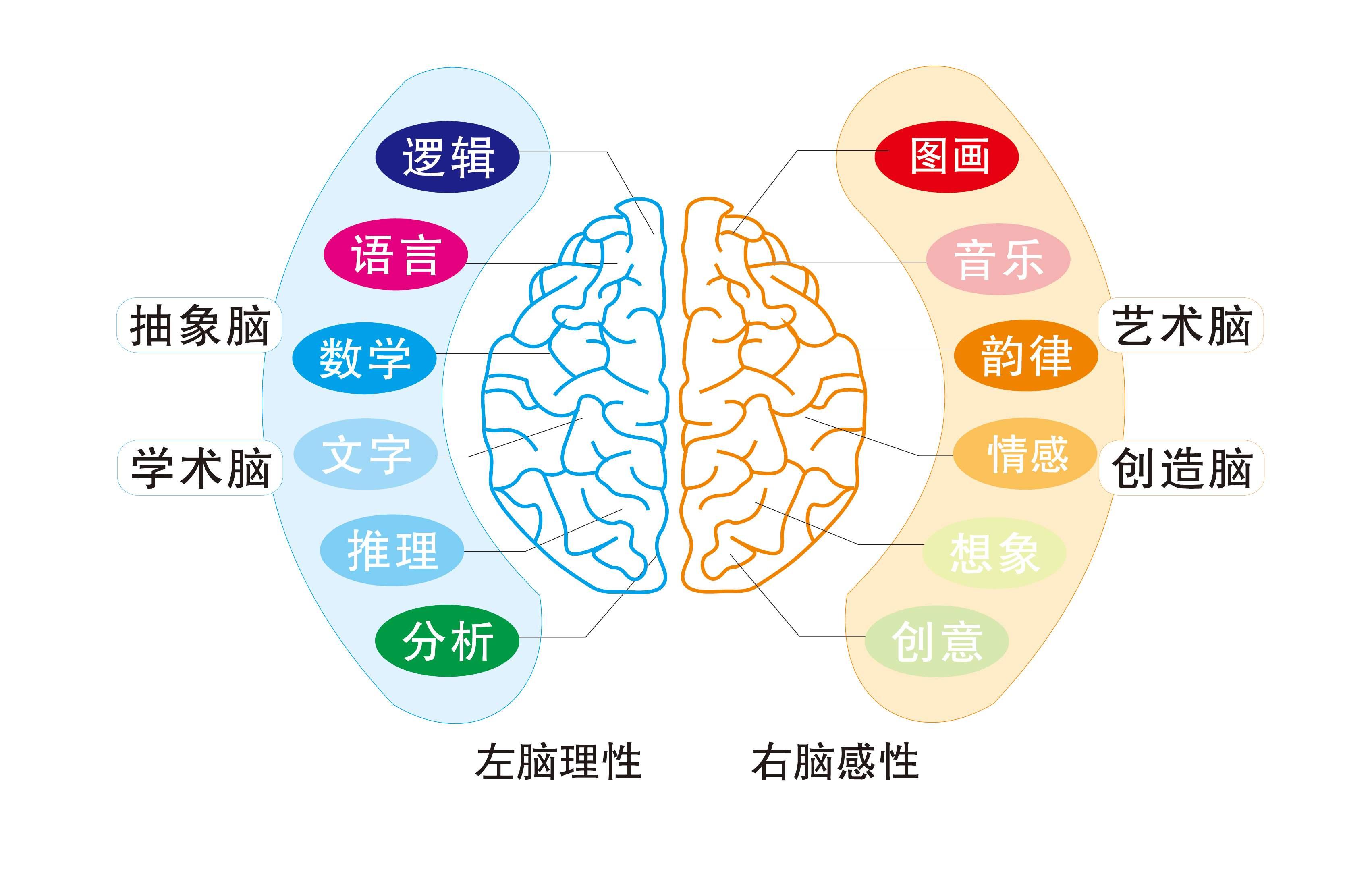 全脑开发有什么好处呢?