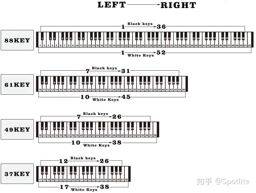 电子琴54键键盘图图片