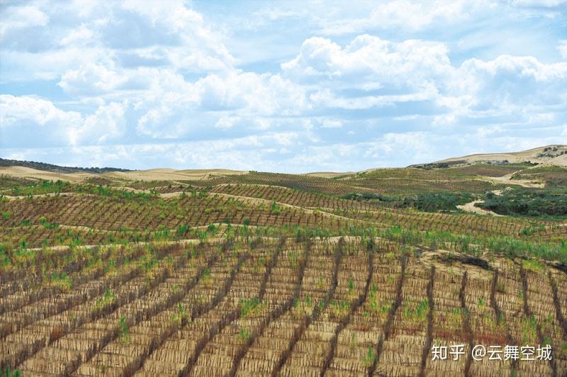 如何看待毛乌素沙漠有可能变成草原或森林? - 知乎