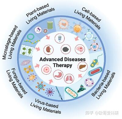 科研绘图综述图版式参考1-99张 - 知乎