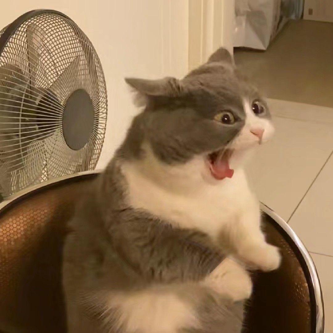 有没有一些搞怪,无厘头的情侣头像? - 知乎