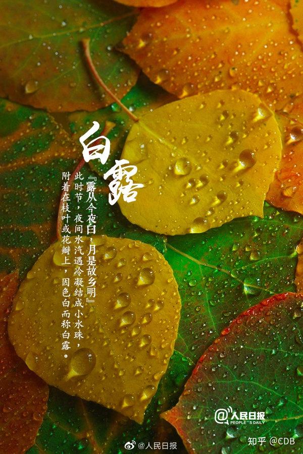 收藏120首关于节气的诗词这才是最佳的文案参考