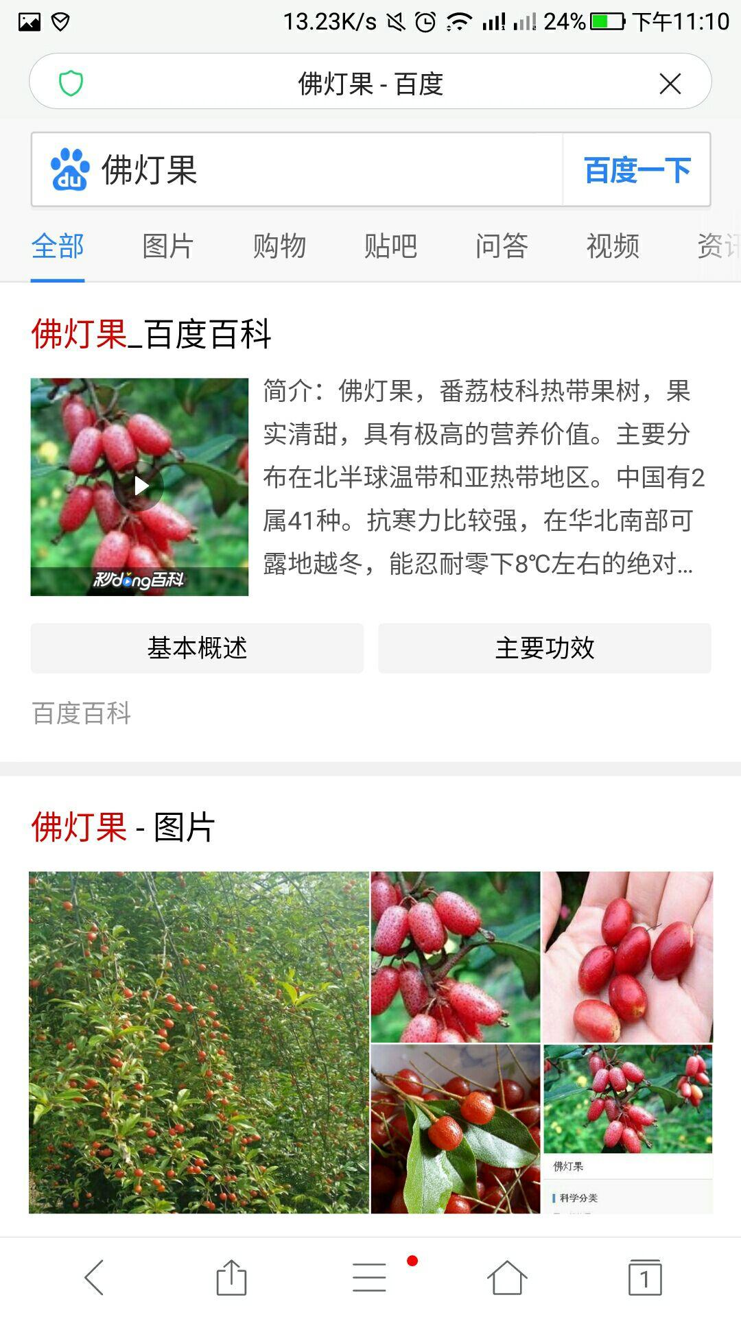 有什么很好吃的奇葩水果?