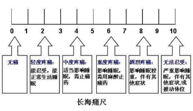 长海痛尺评分图片