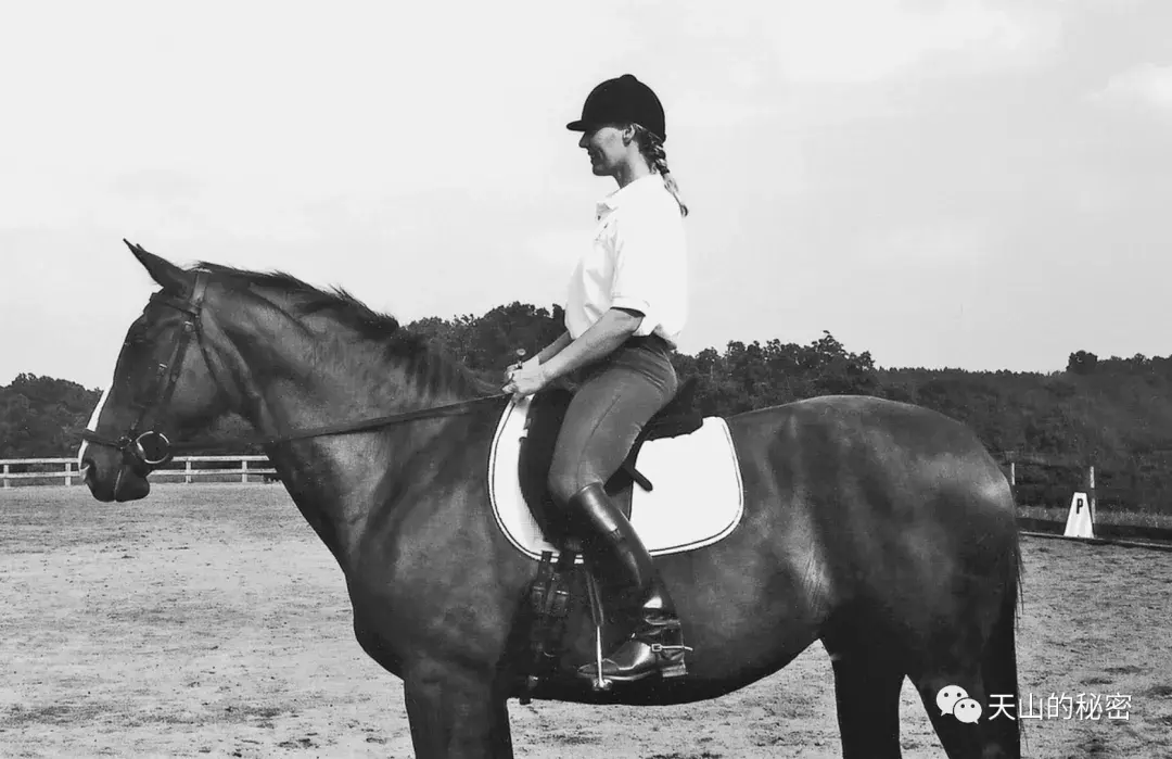 骑马正确的坐姿是怎样的