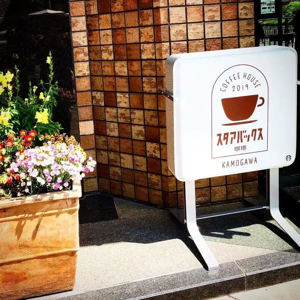 每晚一千块的路边公厕民宿你住不 知乎