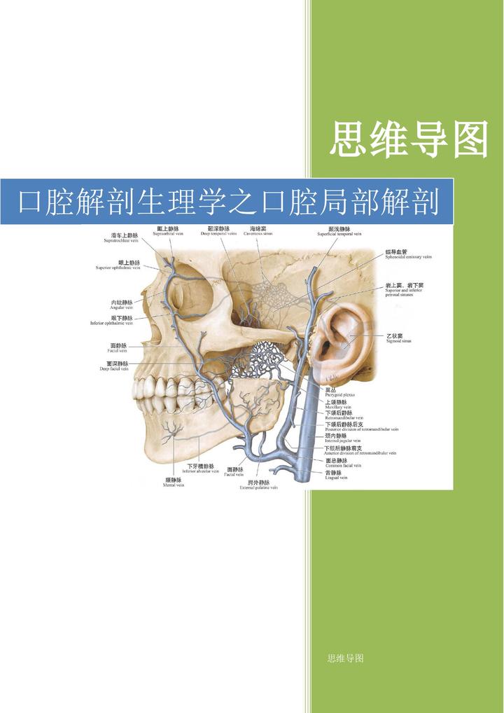 口腔局部解剖与生理功能思维导图 - 知乎
