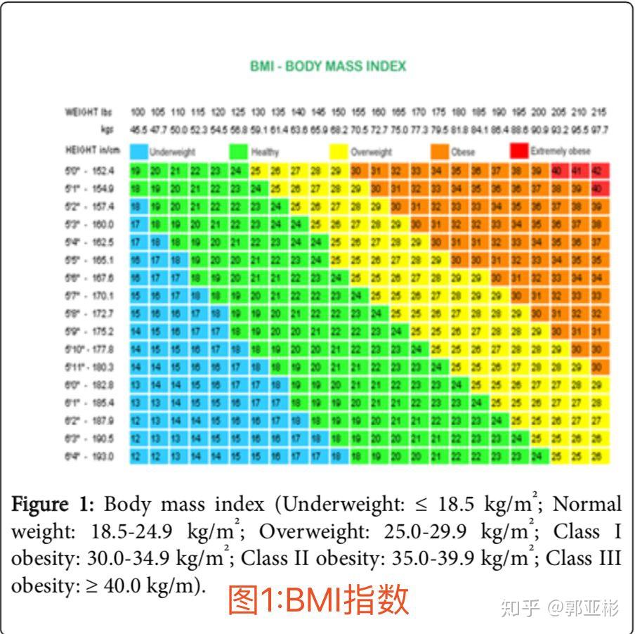 你还在相信BMI指数? - 知乎