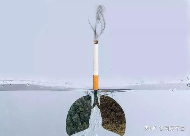 啥叫吸烟过肺 v2-12b4f6ff0c9b099d391714840cf90b0c_r.jpg