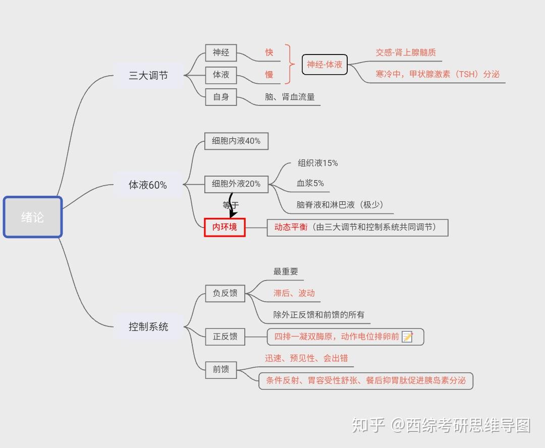 生理学西综思维导图绪论