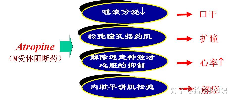 什么是药物效应动力学?解读药物对机体的作用、作用规律及作用机制。 - 知乎