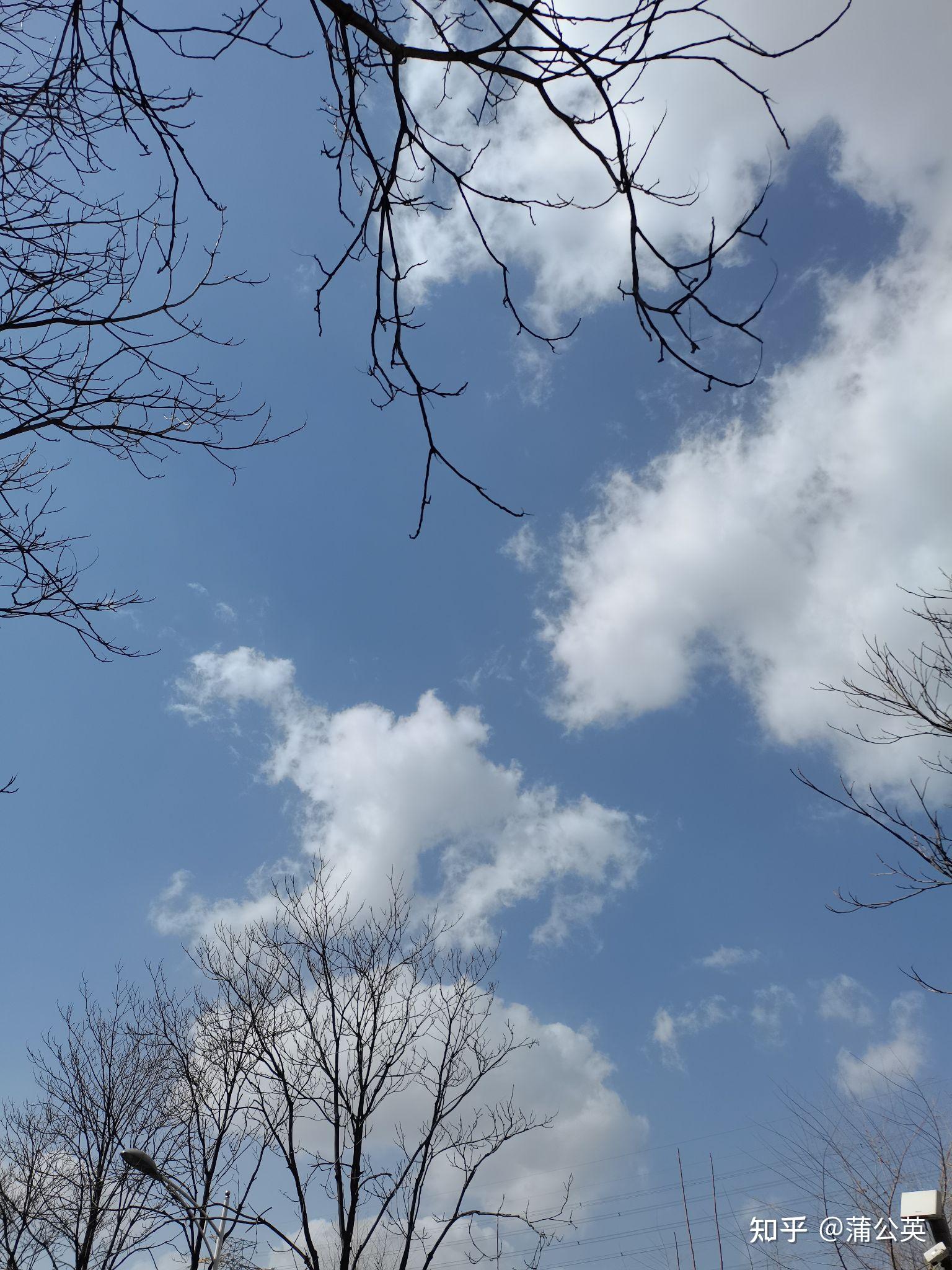 作为一个普通人,如何在平淡生活中发现细微美好之处? - 知乎