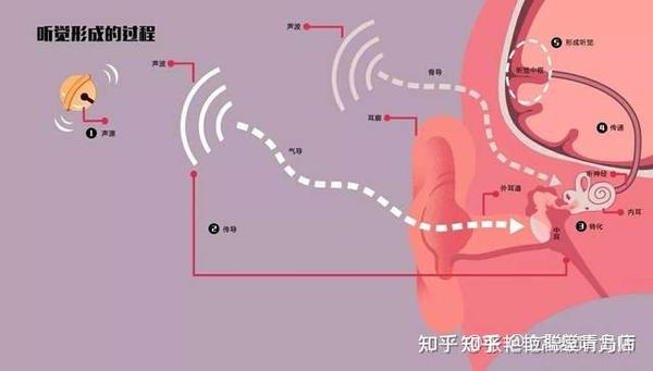 戴上助听器，听力就正常时一样？ - 知乎