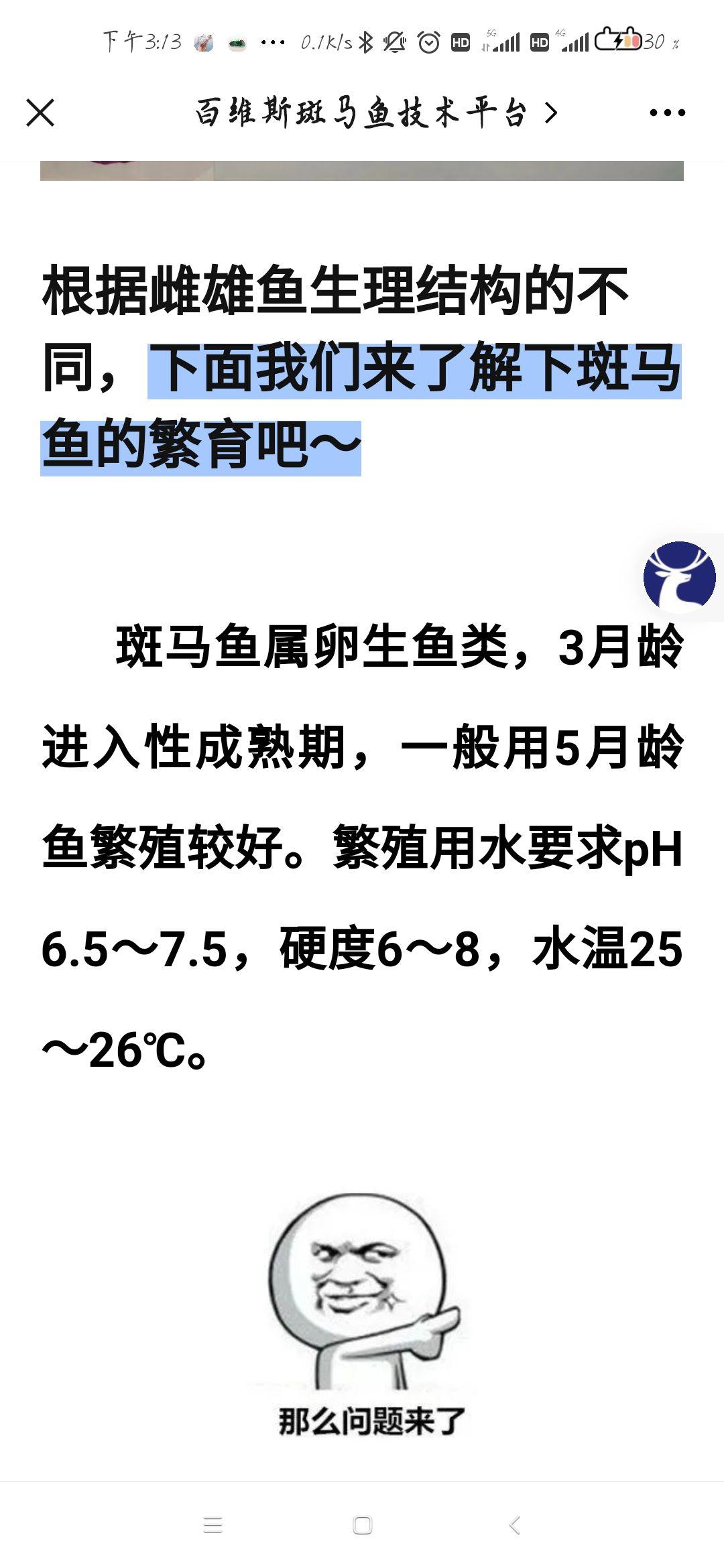 绿斑马鱼公母图片对比图片