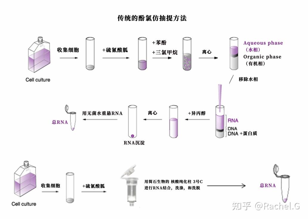 提取 RNA 的方法有哪些? - 知乎