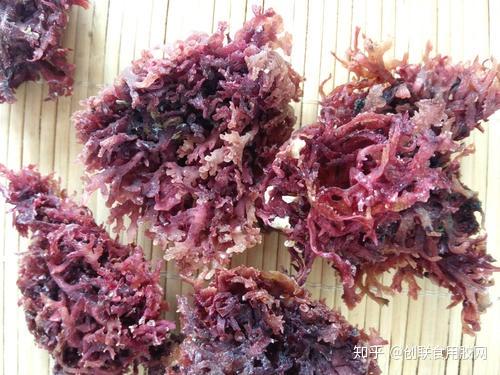 海洋红藻麒麟菜功效与作用