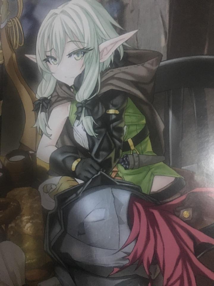 如何评价轻小说《哥布林杀手》?