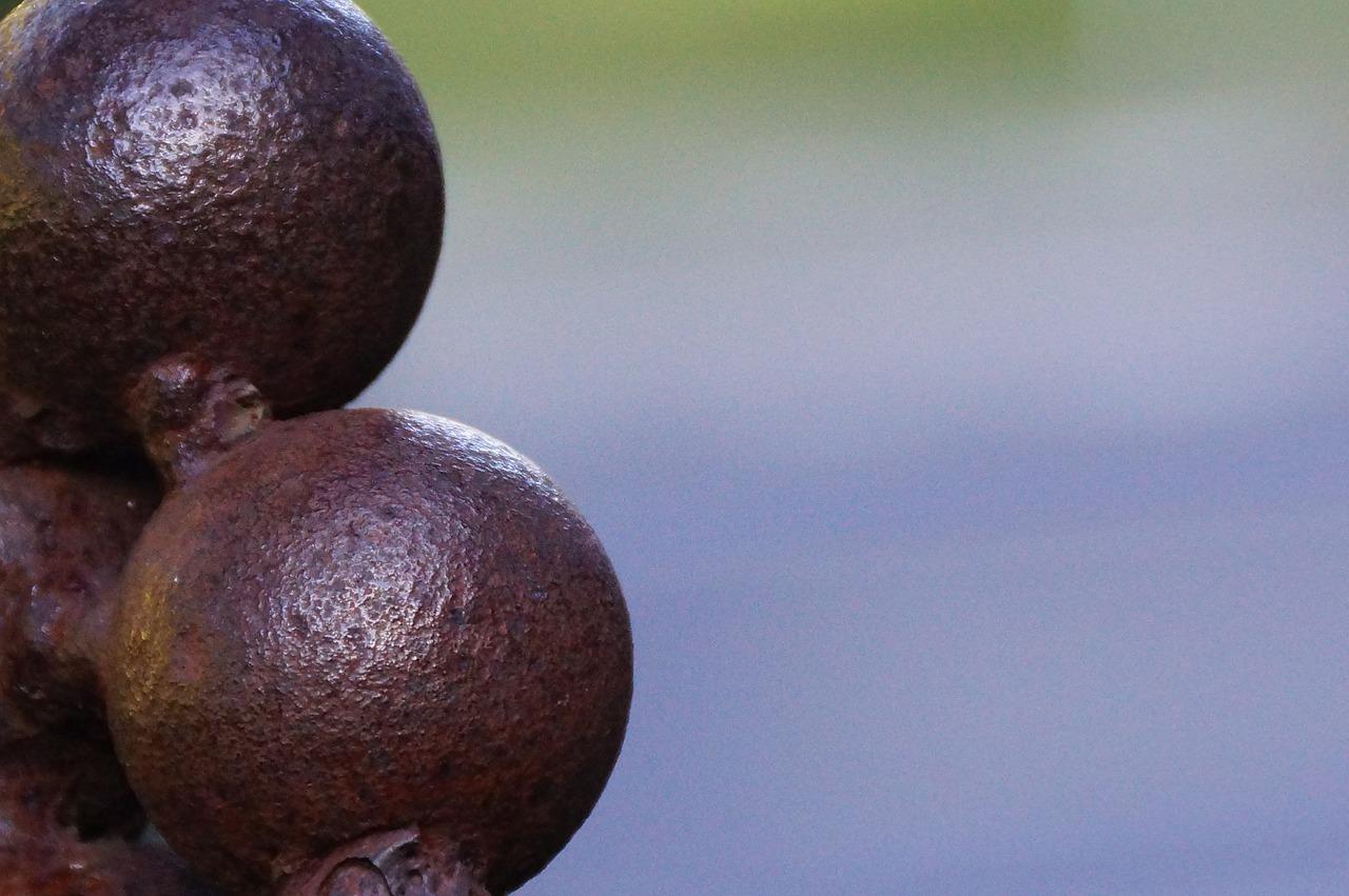 4. 山竹批发价一览